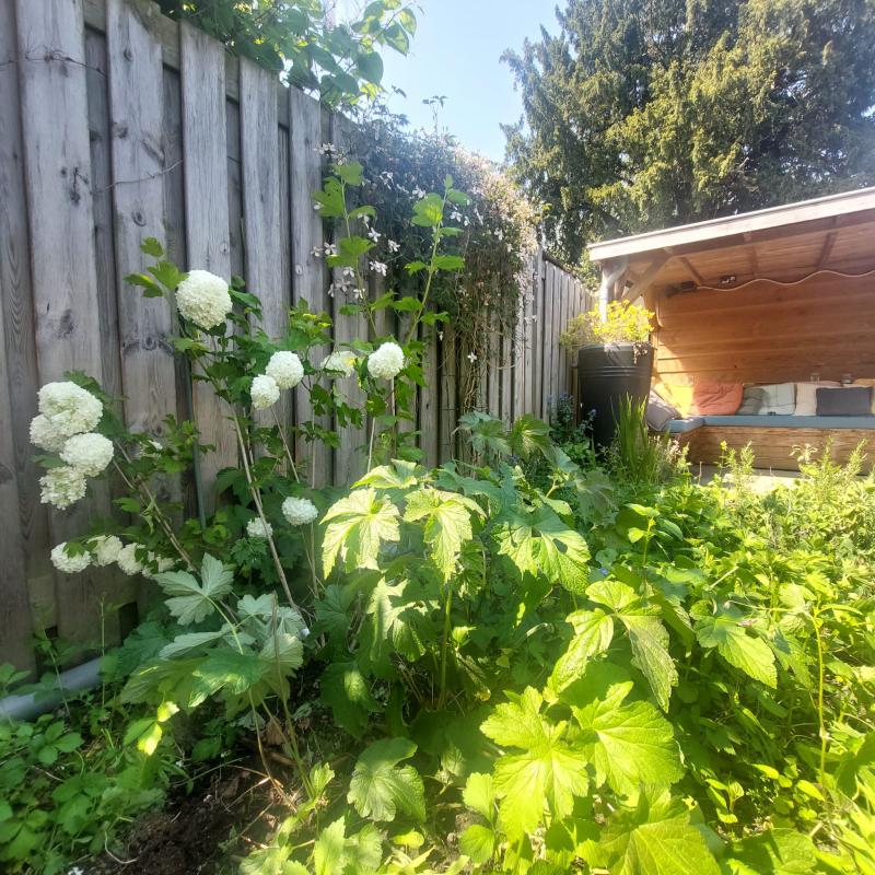 Van 2 naar 1 tuin — 4