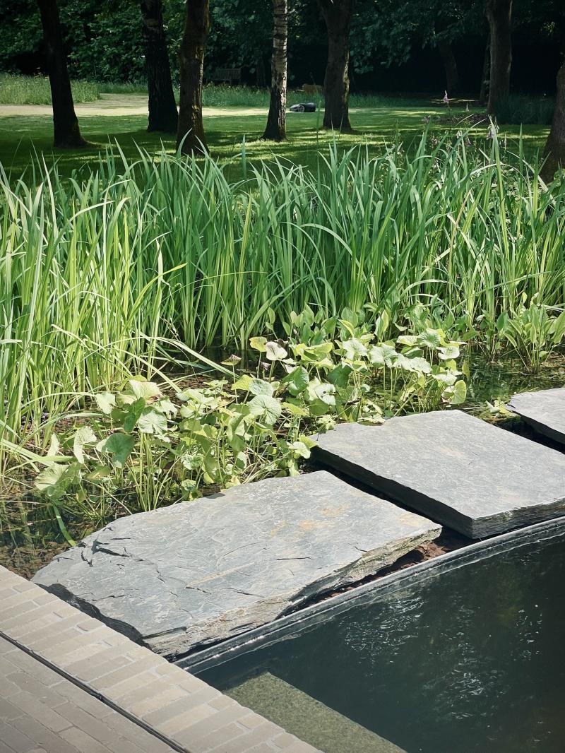 Waar water & groen elkaar ontmoeten