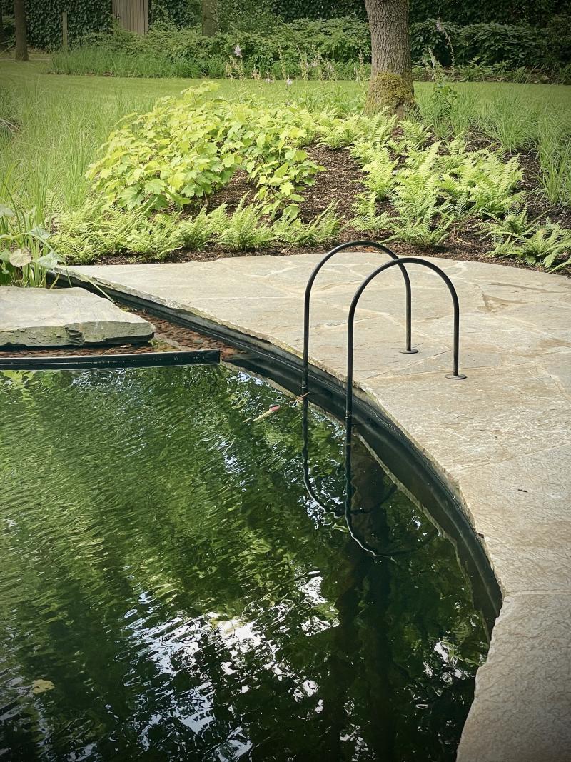 Waar water & groen elkaar ontmoeten — 6
